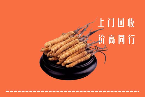 收购行情：无锡锡山区回收散虫草