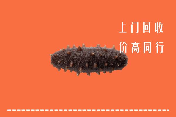 无锡锡山区回收海参
