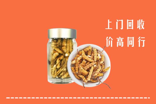 无锡锡山区回收冬虫夏草