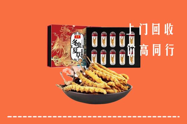 无锡锡山区回收虫草